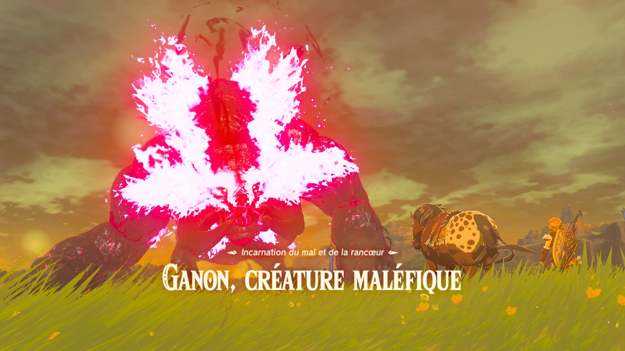 image en grand