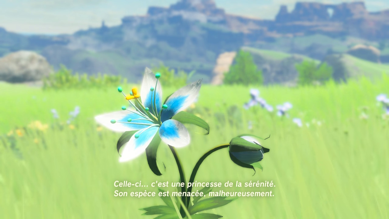 image en grand